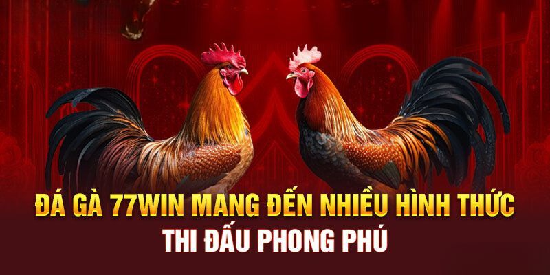 77Win cùng các ưu điểm độc quyền